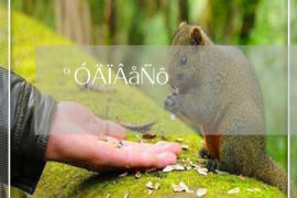 安塞安塞讨债公司服务